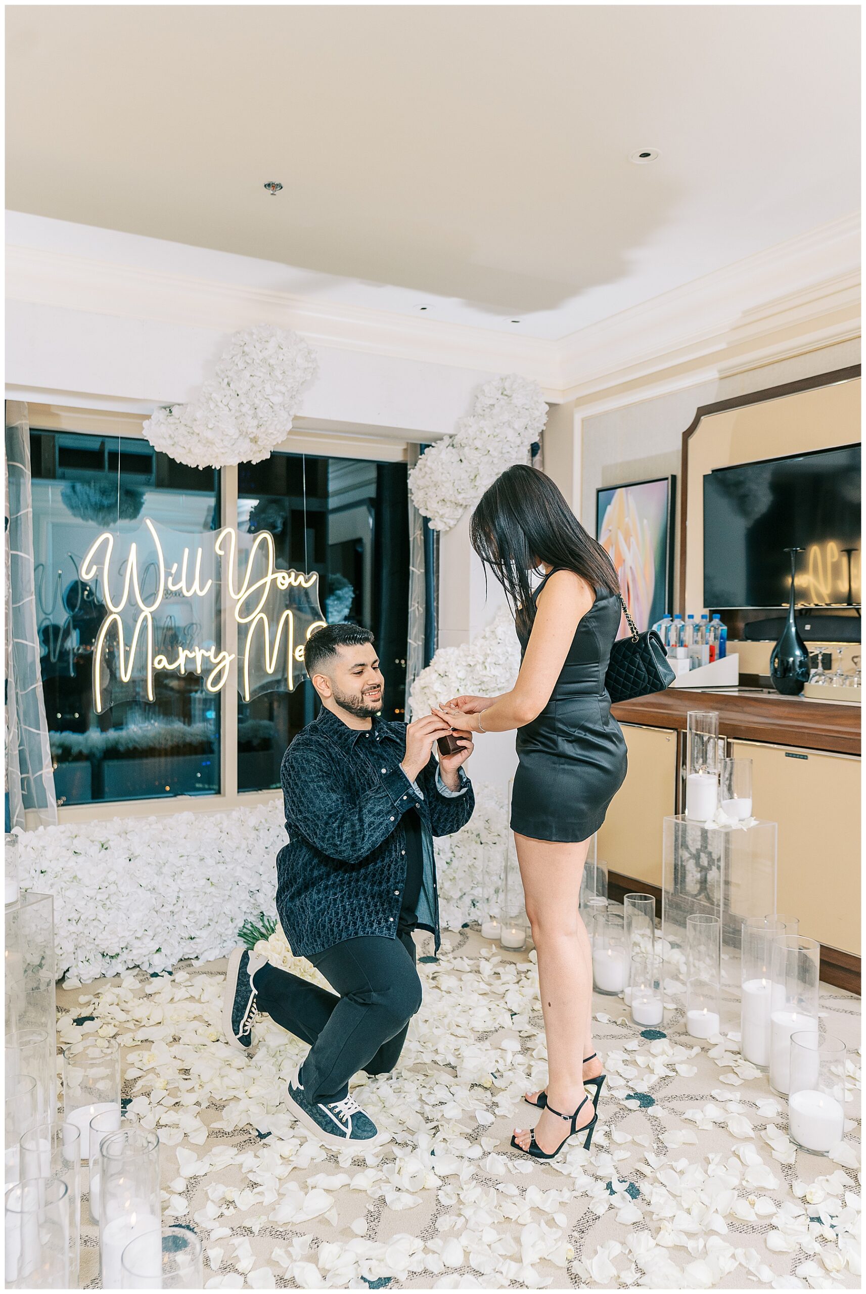 Vegas proposal